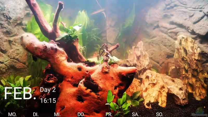 Tag 2 von Alex-ius (3)