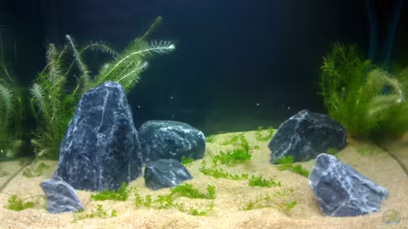 Tag 2 von Marc Joist (5)