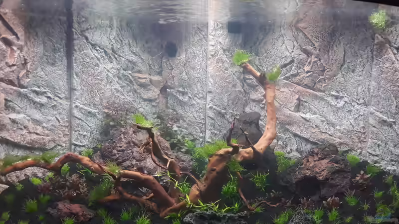 Tag 2 von Michael Müller (2)