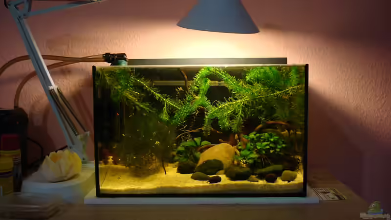 Tag.20 von cantiga (5)