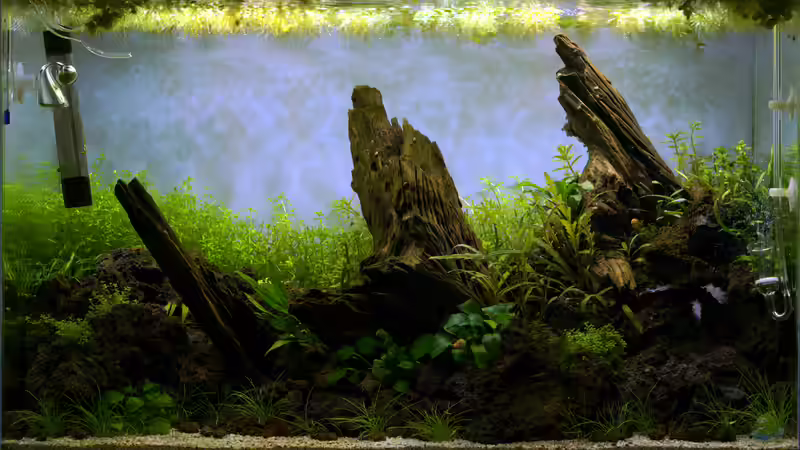 Tag 20 von Micha... (4)