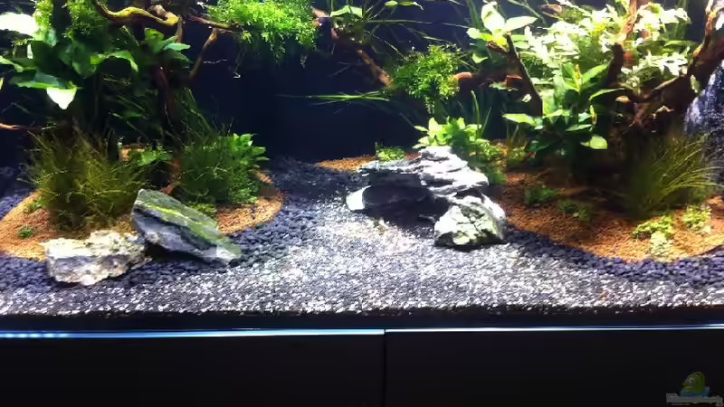 Tag 21 von Johnboy (7)