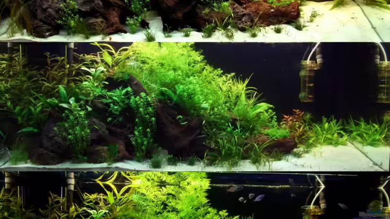 Tag 25 - 50 von Tobi-G (4)