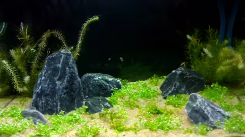 Tag 25 von Marc Joist (6)