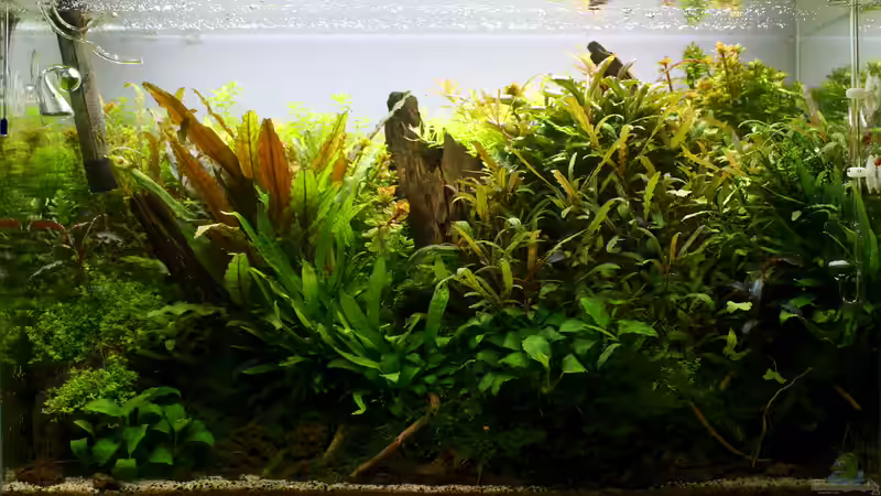 Tag 261 von Micha... (16)