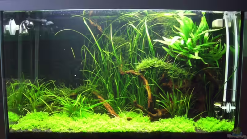 Tag 27 von Alex Malsam (4)