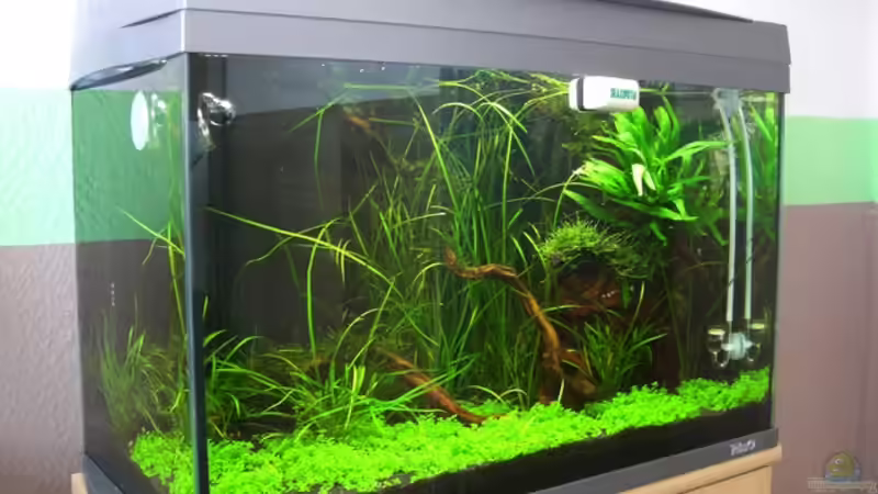 Tag 27 von Alex Malsam (5)