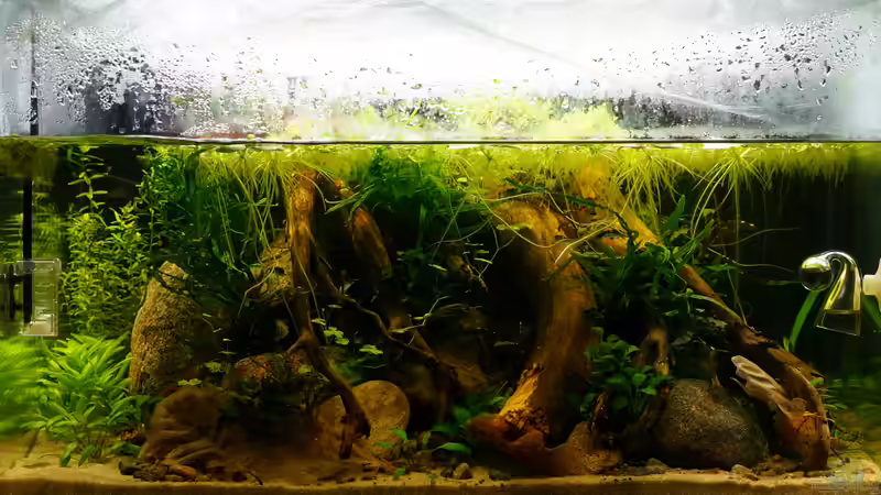 Tag 28 von Micha... (7)