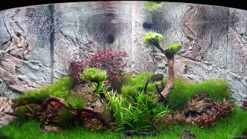 Tag 29 von Michael Müller (4)