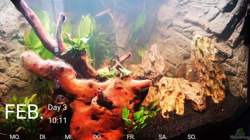 Tag 3 von Alex-ius (4)