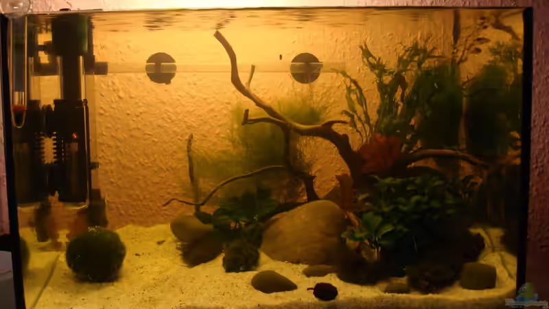 Tag.3 von cantiga (4)