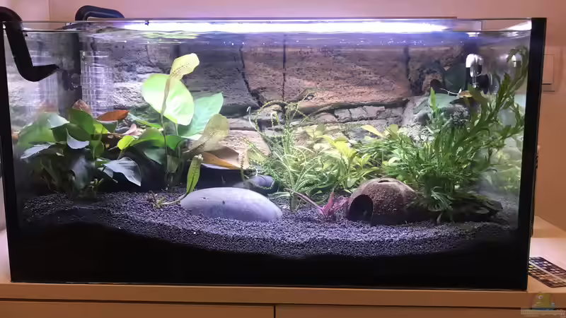 Tag 3 von Tim1979 (15)