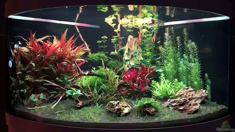 Tag 30 von Sergio Bandeiras (1)