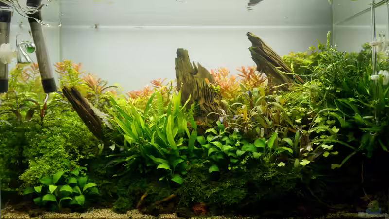 Tag 308 von Micha... (18)