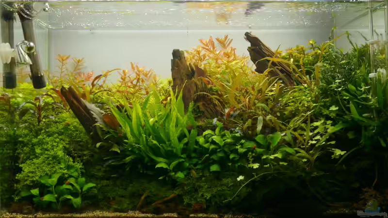 Tag 316 von Micha... (19)