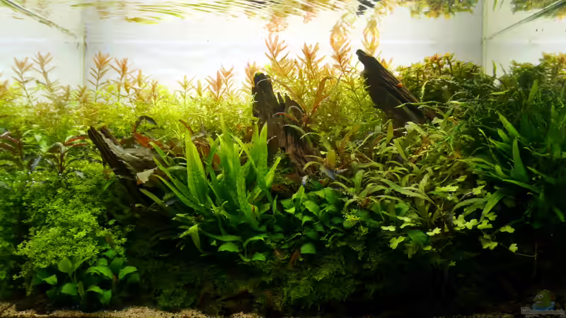 Tag 328 von Micha... (1)