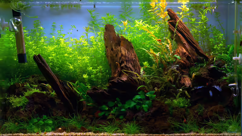 Tag 36 von Micha... (5)