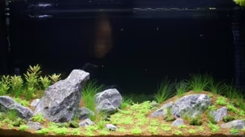 Tag 4 von Christoph Werner (5)