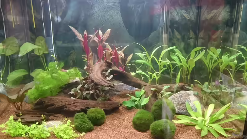 Tag 4 vorn und klares Wasser von kNaLLeR (5)