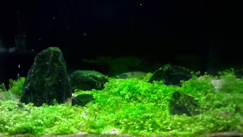 Tag 45 von Marc Joist (7)