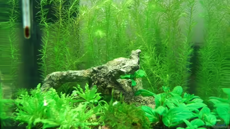 Tag 5 nach Einrichtung von Dan1984 (1)