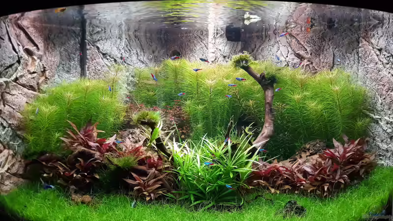 Tag 51 von Michael Müller (6)