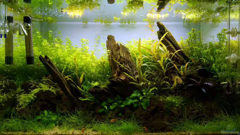 Tag 56 von Micha... (7)