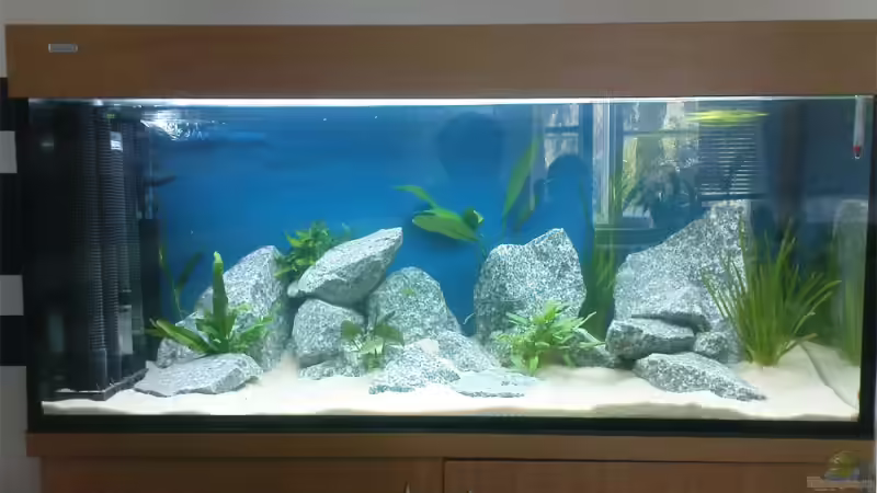 tag 6 von marco_0 (6)