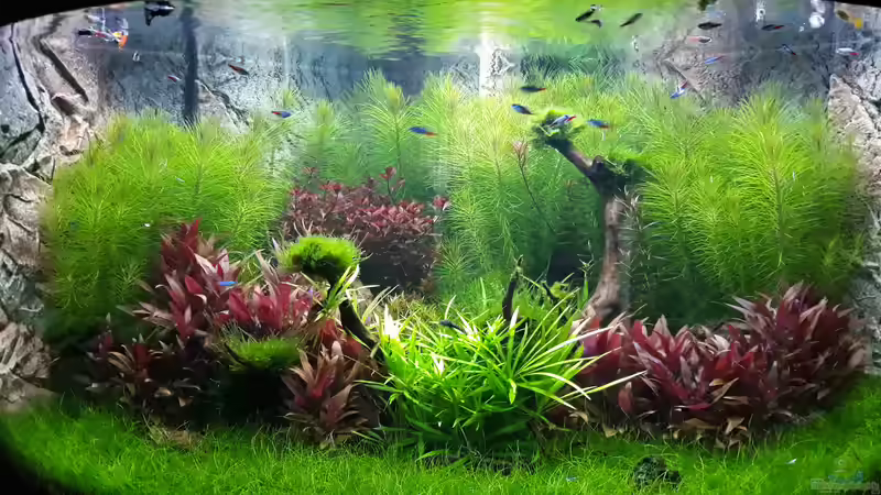 Tag 60 von Michael Müller (7)