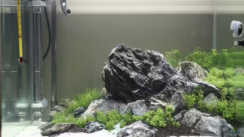 Tag 7 - Die Pflanzen wachsen von X-Rayminator (12)