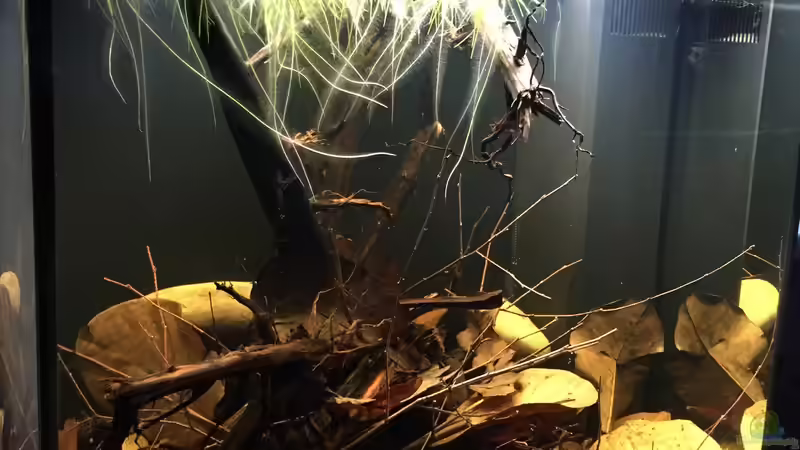 Tag 7 von Andy Garnier (5)