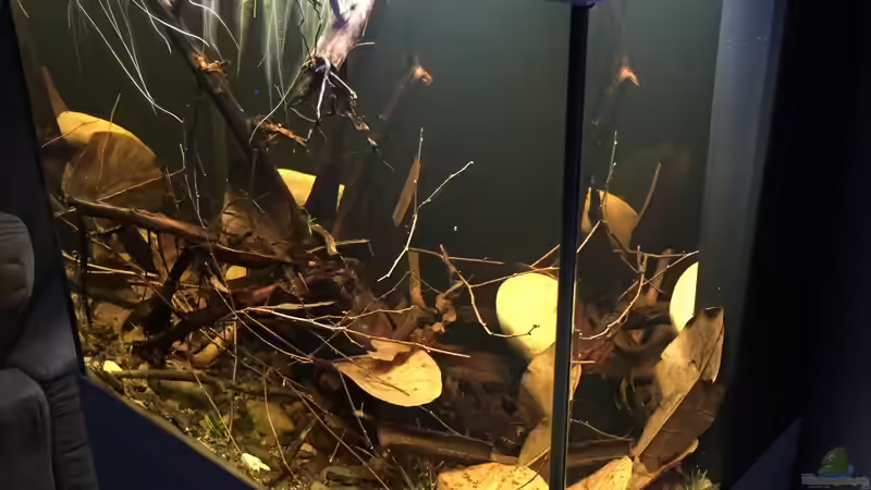 Tag 7 von Andy Garnier (6)