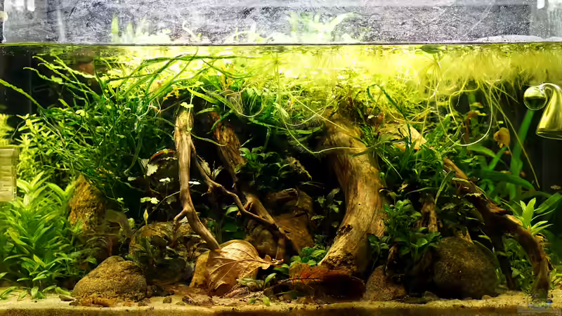 Tag 70 von Micha... (8)