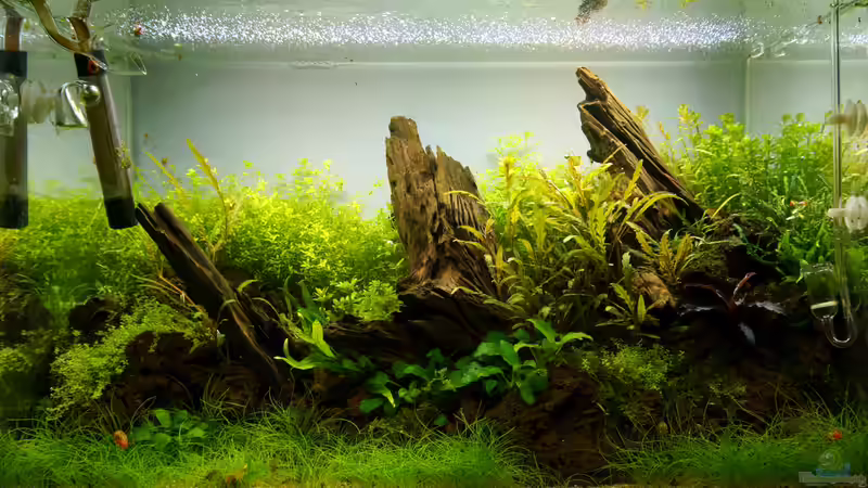 Tag 71 von Micha... (9)