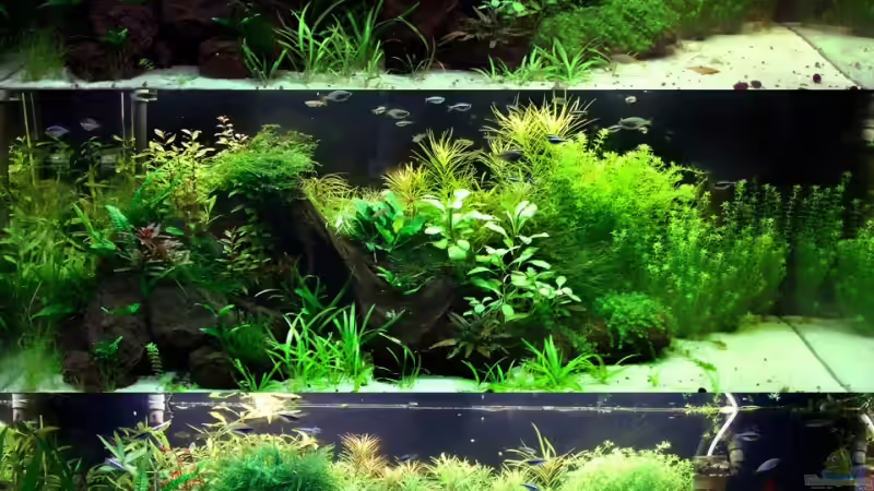 Tag 75 - 137 von Tobi-G (5)