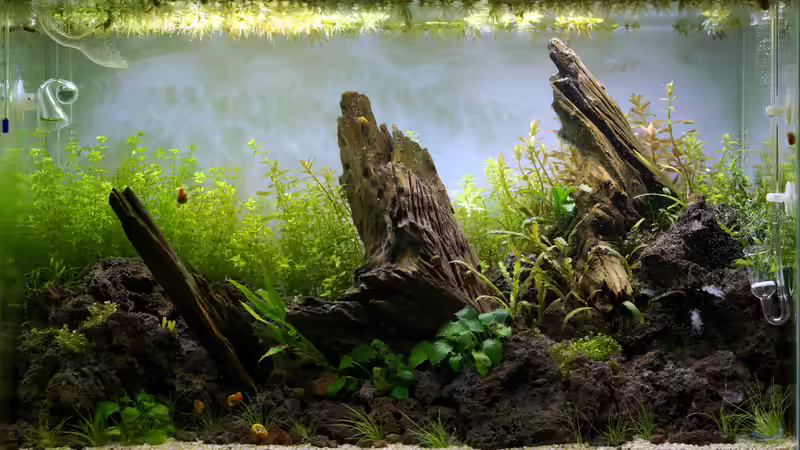 Tag 9 von Micha... (3)