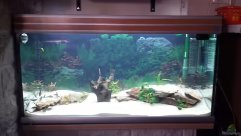 Tag der 1. Pflanzen 04.01.2014 von schilli (13)