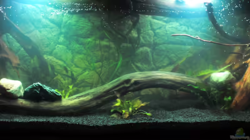 Tag der Befüllung, 23.01.2016 von SouthAmerica (2)