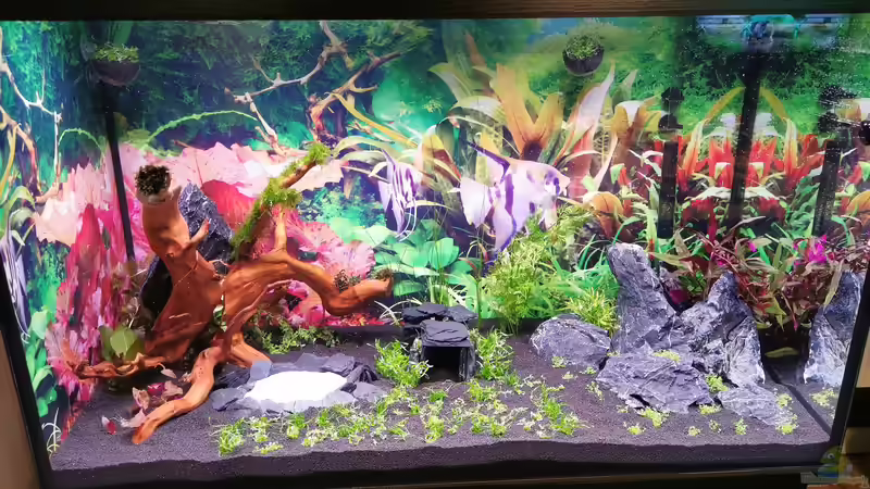 Tag der Einrichtung (13.03.2021) von Borisson (1)