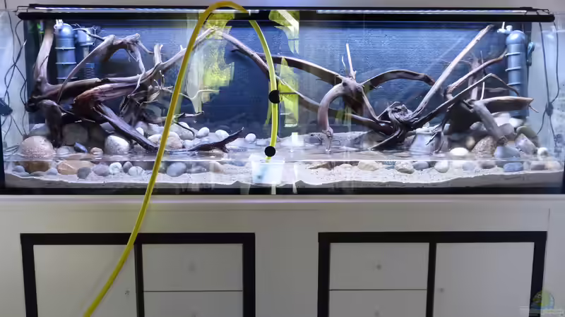 Tag der Einrichtung 26.08.2018 (hier noch ohne 3. Eheim Biopower 240) von ~Marco~ (51)