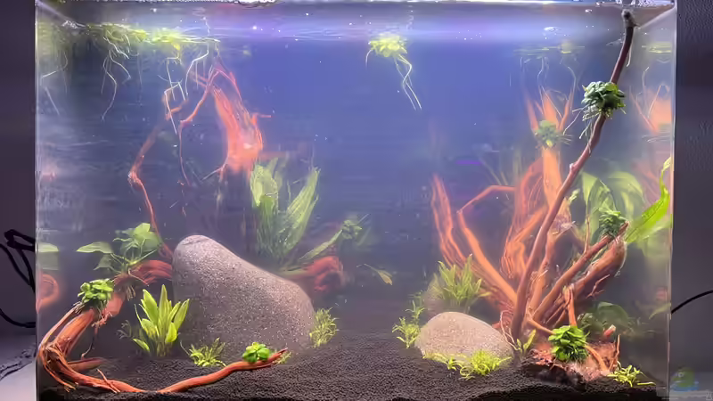 Tag der Einrichtung Februar 2023 von Rena (2)