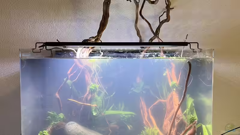 Tag der Einrichtung Februar 2023 von Rena (3)