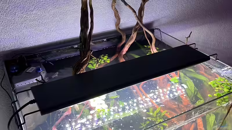 Tag der Einrichtung Februar 2023 von Rena (4)