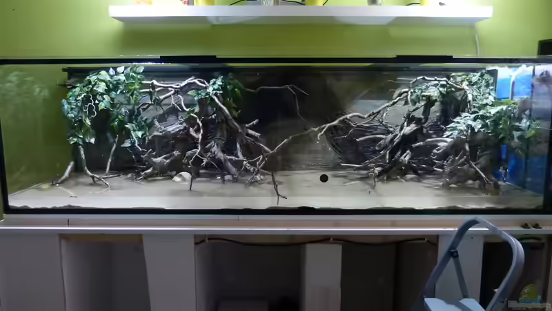 Tag der Inbetriebnahme 07.01.15 von ~Marco~ (49)