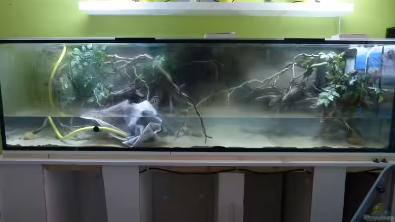 Tag der Inbetriebnahme 07.01.15 von ~Marco~ (50)