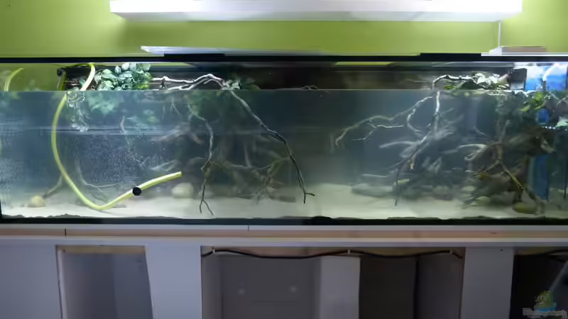 Tag der Inbetriebnahme 07.01.15 von ~Marco~ (52)