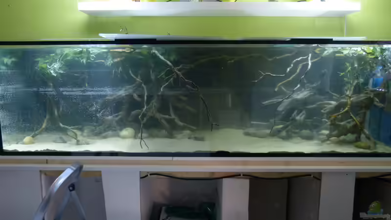 Tag der Inbetriebnahme 07.01.15 von ~Marco~ (53)