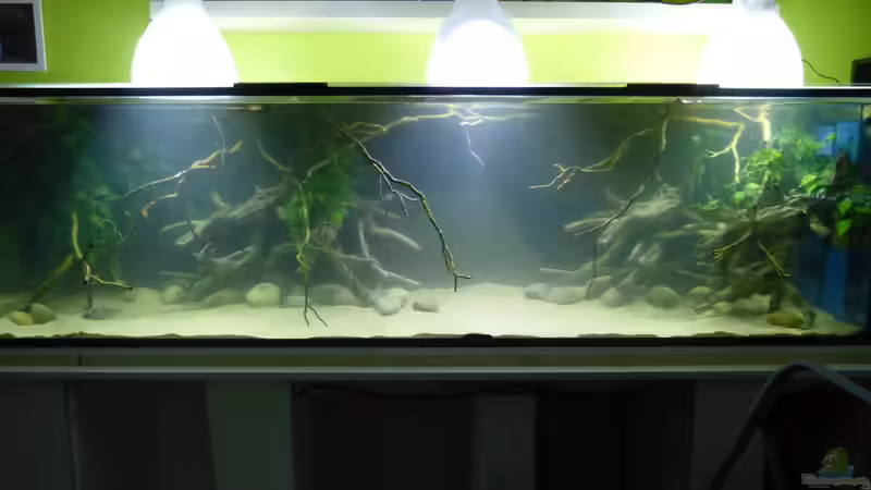 Tag der Inbetriebnahme 07.01.15 von ~Marco~ (54)