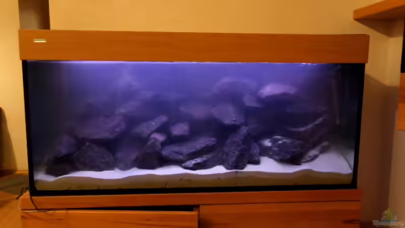 Tag (Nacht) der Beckeneinrichtung - Sand, Steine und Wasser drin von Felsenjunkie (3)