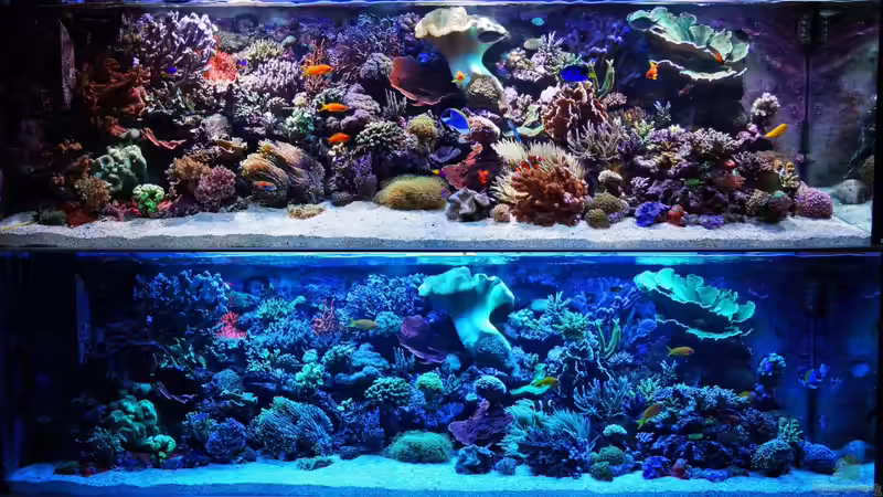 Tag und Nacht von MartinS (4)